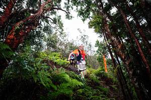 BIB: 
                            <button type="button" onclick="openModal(26201927)" class="btn btn-primary btn-sm float-right btn-popup" data-toggle="modal" data-target=".modal-high-quality">
                        <i class="fas fa-shopping-cart"></i> Add to Cart
                    </button>
                                            <button type="button" onclick="isThisMe(26201927, true)" class="btn btn-success btn-sm float-right btn-popup btn-isme hidden" data-toggle="tooltip" data-placement="bottom" title="นี่คือรูปของคุณใช่ไหม คลิกที่นี่เพื่อเอาเข้าอัลบั้ม">
                        <i class="fas fa-plus"></i> Add to album
                    </button>
                    <button type="button" onclick="isThisMe(26201927, false)" class="btn btn-warning btn-sm float-right btn-popup btn-isnotme hidden">
                        <i class="fas fa-ban"></i> Remove from album
                    </button>